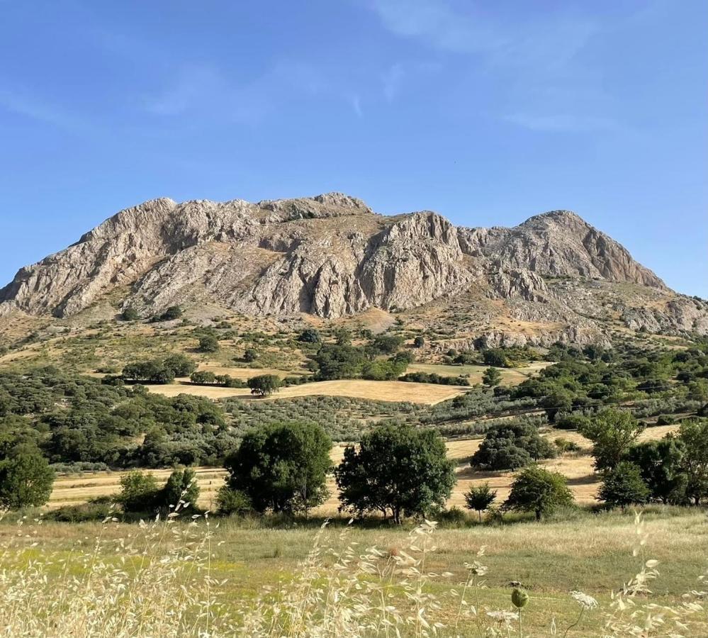 Cortijo Rancho Verde Колменар Екстериор снимка