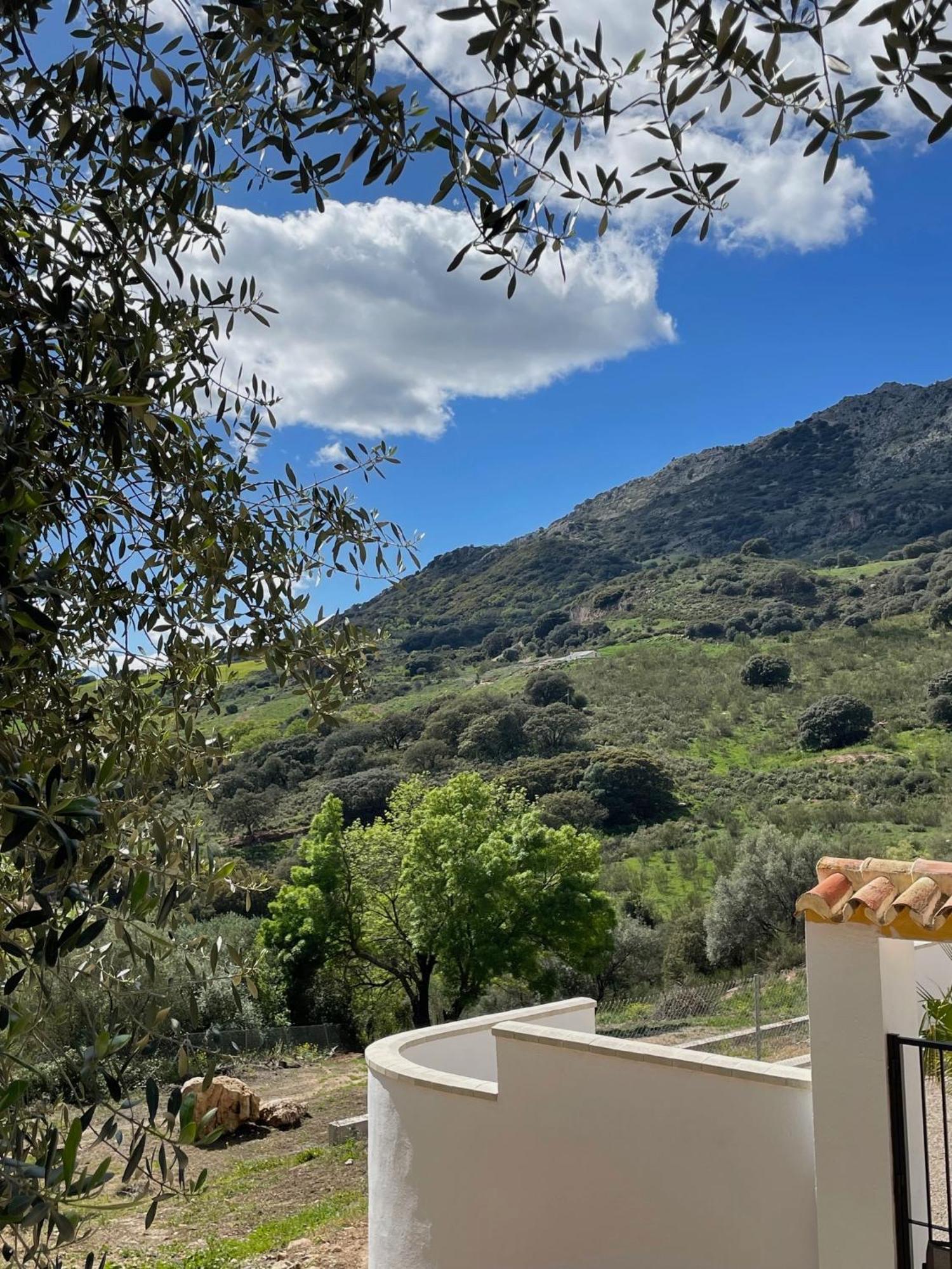 Cortijo Rancho Verde Колменар Екстериор снимка