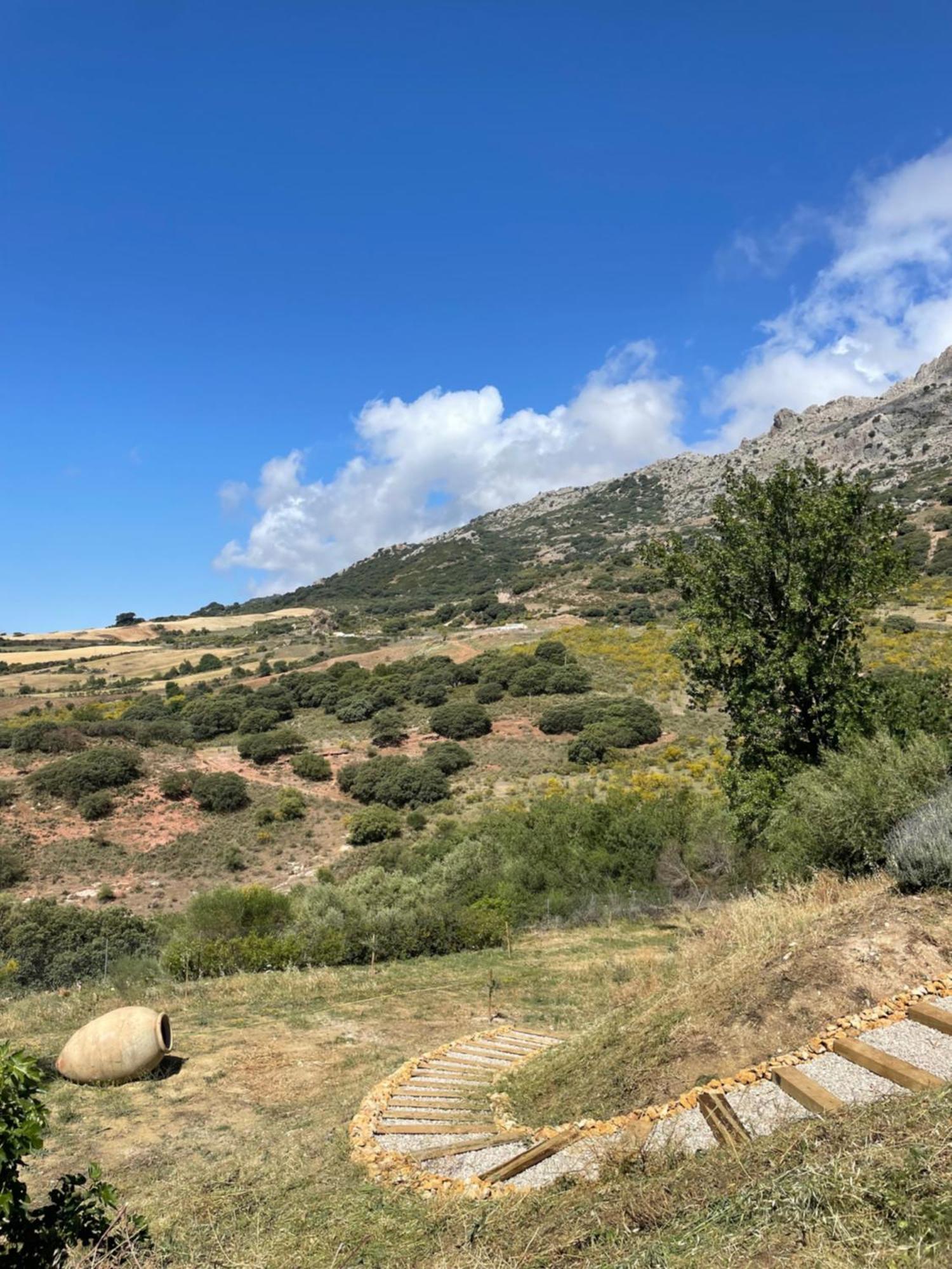 Cortijo Rancho Verde Колменар Екстериор снимка